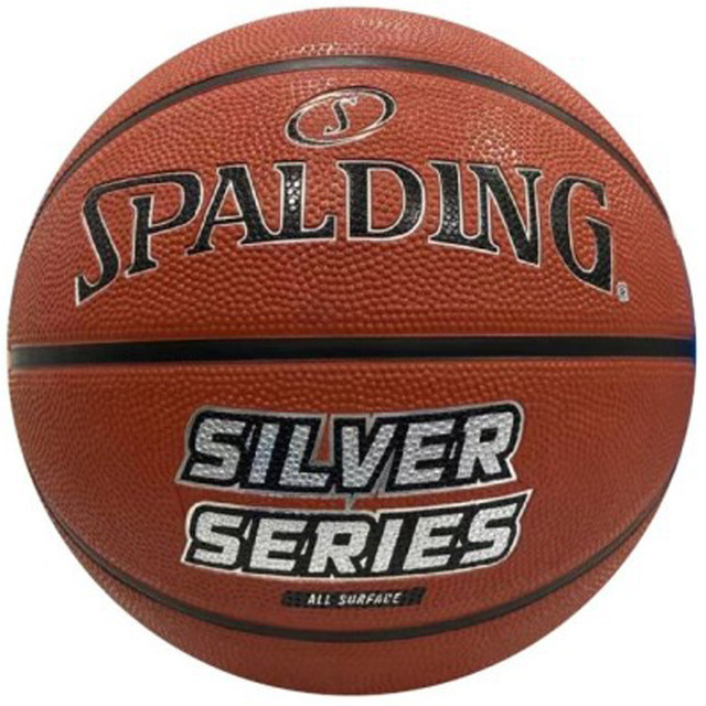 84541__45231 Spalding Silver Series Outdoor Basketball - Size 7 - Image 1
