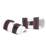 Taekwondo Protections