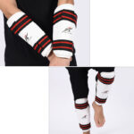 Taekwondo Protections - Image 2