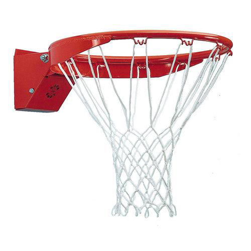 WhatsApp Image 2019-02-07 at 9.48.53 AM Professional Basketball Hoop With Net - Image 1