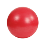 Gym Fitness Ball - Image 3